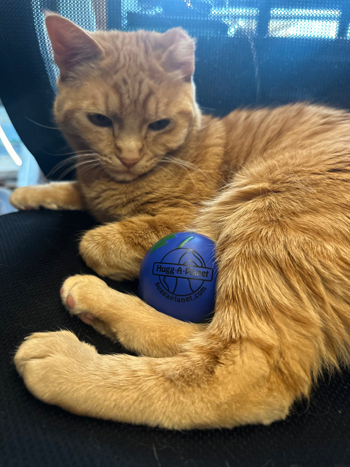 Hugg-A-Planet Earth Squeeze Stress Ball