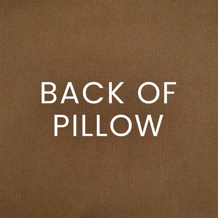 Charisma Pillow in Brown - coordinating brown back by D.V. KAP Home