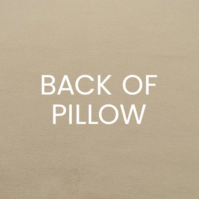 Fanfare Pillow in Navy - solid tan back by D.V. KAP Home