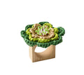 Pareo Napkin Ring in Lime & Green | Kim Seybert at Fig Linens and Home 1